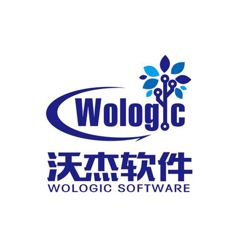 上海软件开发：推动智慧城市的前沿引擎