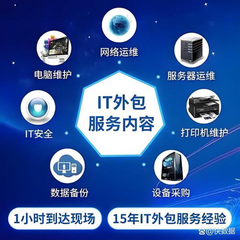 上海软件开发:创新引擎下的城市活力